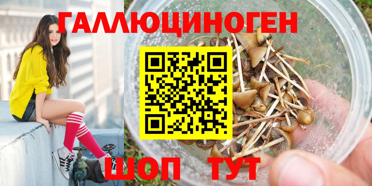 Галлюциногенные грибы GOLDEN TEACHER Чехов