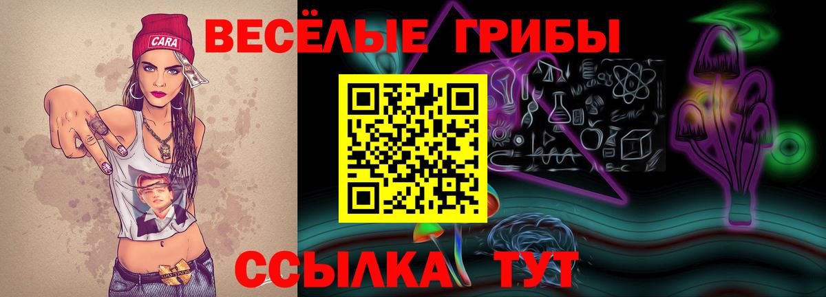 Галлюциногенные грибы Psilocybine cubensis  Вход с VPN  Чехов 
